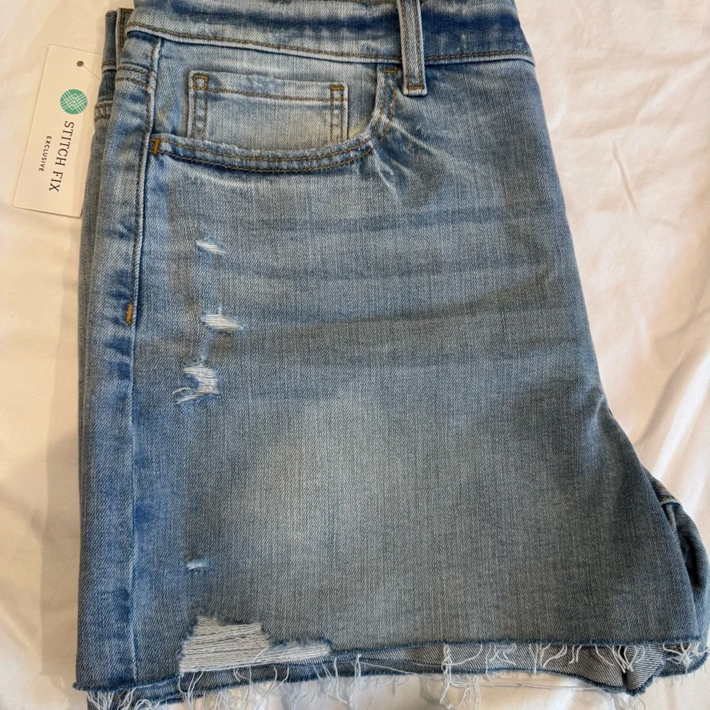 Studio Blue Classic Distressed Denim Cut‎ Off Shorts, Size 16